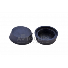 Заглушка болта ремня безопасности ВАЗ Заглушка болта ремня безопасности ВАЗ